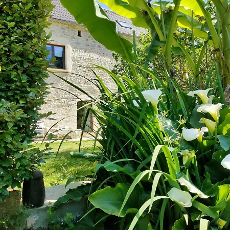 Les Pieds Dans L'Eau, Gite La Source Lachapelle-Auzac Exterior photo