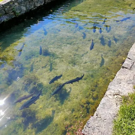 Les Pieds Dans L'Eau, Gite La Source Lachapelle-Auzac Exterior photo