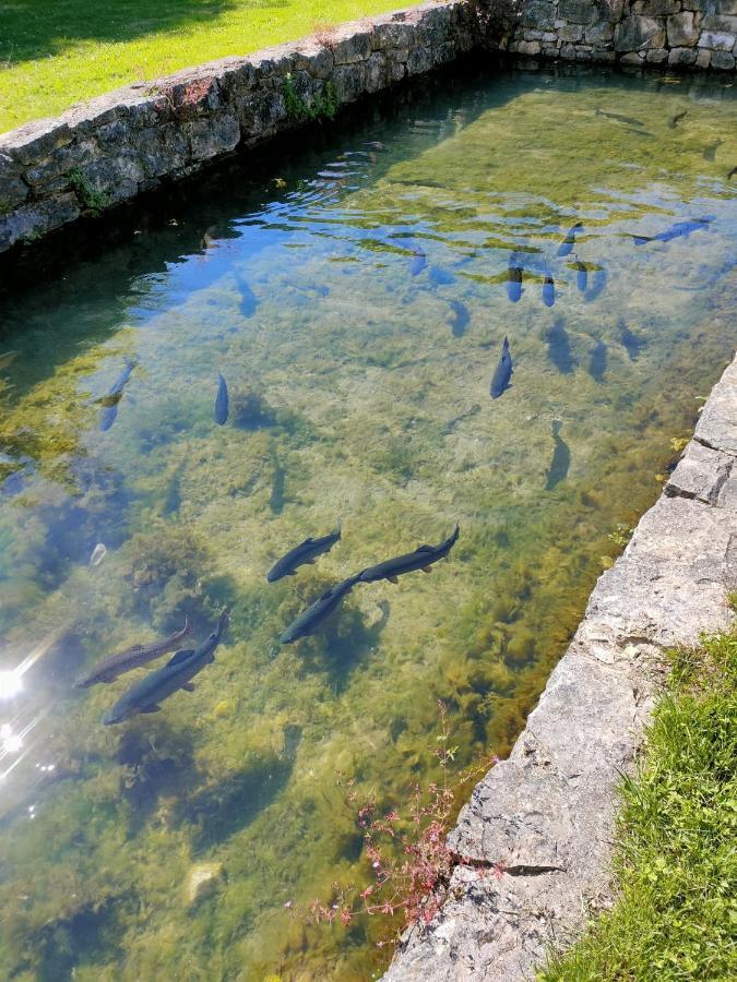 Les Pieds Dans L'eau, La Source Casa vacanze *